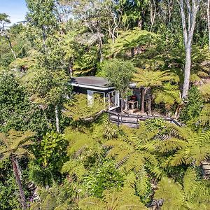 The Treehouse - Raglan Holiday Studio Exterior photo