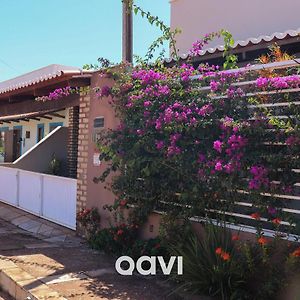 Qavi - Casa Tropical #Paraisodobrasil 托鲁斯 Exterior photo