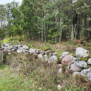 Cozy Cottage On The Edge Of The Forest Near Fjällbacka Exterior photo