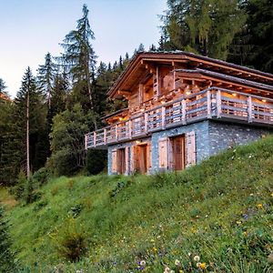 Authentic Swiss Spa Chalet Nesoya Jacuzzi Sauna Riddes Exterior photo