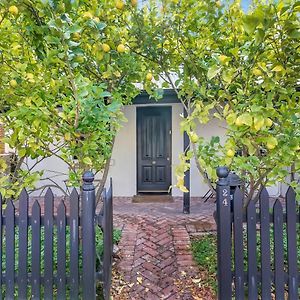 'The Lemon Tree' North Adelaide Character Cottage Exterior photo