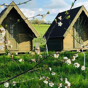 CritPensiune Rozalia - Camping住宿加早餐旅馆 Exterior photo