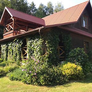 Lesniczowka Domek Sauna Jeziorko W Lesie Na Wylacznosc Straszydle Exterior photo