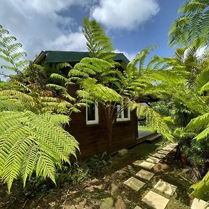 Bungalow A Flanc De Colline Le Morne-Rouge Exterior photo