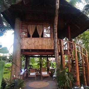 杜马格特 Dumaguete Oasis Treehouse旅馆 Exterior photo