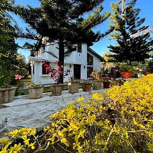 Mount Abu Sunset Villa Exterior photo