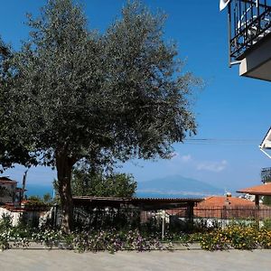 Villa Serena 维克艾库塞 Exterior photo