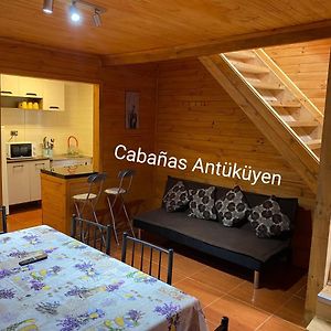 皮奇勒姆Cabanas Antu Kuyen公寓 Exterior photo