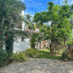 Peaceful Villa In The Jungle 阿杭格默 Exterior photo