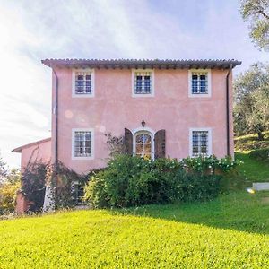 La Casa Dei Limoni, Camaiore, Toscana, Indipendent House With Private Outdoor Garden Exterior photo