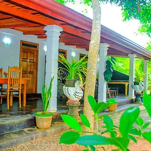 Mahee Villa & Ayurvedic Spa 丹不拉 Exterior photo