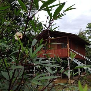 Coto Brus Cabana En El Bosque旅馆 Exterior photo