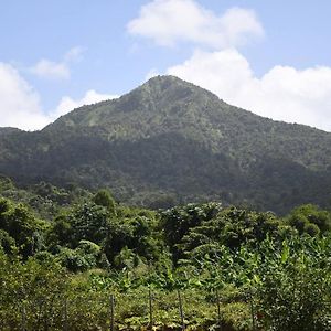 O Logis Citron Du Morne Jacob, Le Morne-Rouge Martinique公寓 Exterior photo