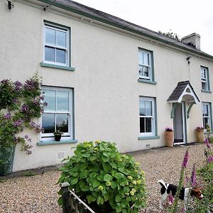 3 Bed In Llandovery 76381 Ystrad-ffin Exterior photo