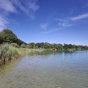 Lakeside Living Pfalz - Free Parking & Balkony Neuhofen Exterior photo