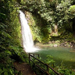 Villas Y Cataratas Maquengue Falls Siqurres Da Alegria Exterior photo