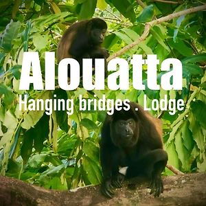 Alouatta Hanging Bridges Adventure And Lodge 卡维塔 Exterior photo