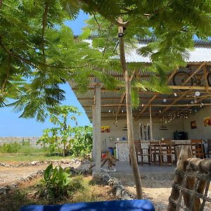 南威Habibis Bottle House住宿加早餐旅馆 Exterior photo