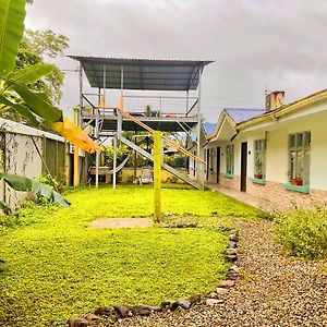 Tropical Housing By El Rodeo - Calle El Manglar Puerto Jiménez Exterior photo