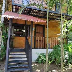Papaya Wildlife Lodge 卡维塔 Exterior photo