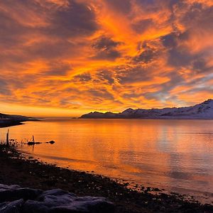 美吉里度假屋 Eskifjörður Exterior photo