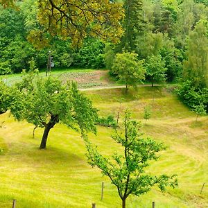 Apartments Organic Tourist Farm Gradisnik Prevalje Exterior photo