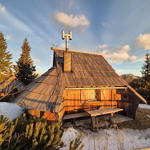 StahovicaKoca Velika Planina - Chalet Kamrica别墅 Exterior photo