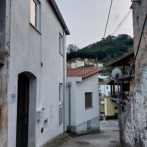 佩纳科瓦Casa Vale Do Rio别墅 Exterior photo