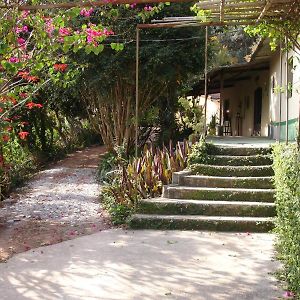 Sitio Colina Das Flores. Lugar Encantador Com Piscina Para Grupos Franco da Rocha Exterior photo