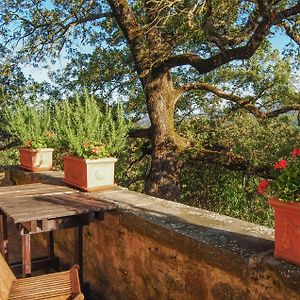 Stunning Apartment In Anghiari With Kitchen Exterior photo