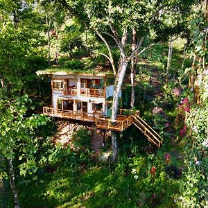卡维塔Jungle Spirit Treehouse别墅 Exterior photo