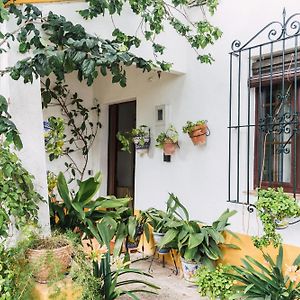 埃斯帕尔蒂纳斯Casa El Jardin别墅 Exterior photo