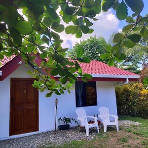 Puerto Jiménez Casa Osa Azul旅馆 Exterior photo