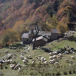 Alloggio In Montagna Villaretto Exterior photo