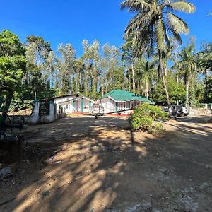 The New View Coffee Plantation Estate Homestay In Coorg 马迪凯里 Exterior photo