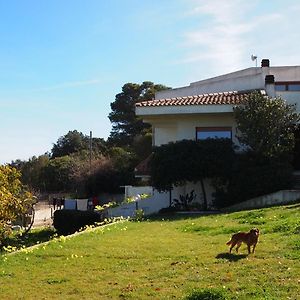 萨萨里Asinara别墅 Exterior photo