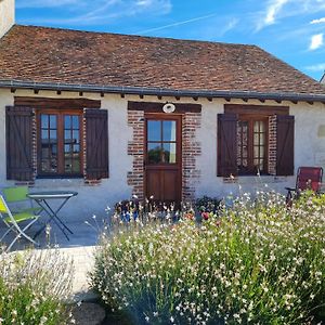 BonneeRoulotte Confortable Avec Balcon En Bois, Climatisation Et Pret De Velos, Pres Du Chateau De Sully - Fr-1-590-287住宿加早餐旅馆 Exterior photo