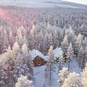 Holiday In Lapland - Kuksatie 15A 列维 Exterior photo