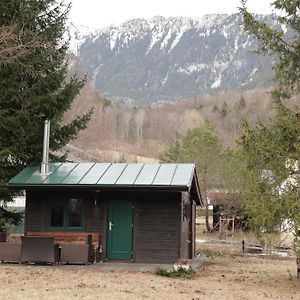 Kleines Romantisches Chalet In Der Semmering-Rax Region 诺因基兴 Exterior photo