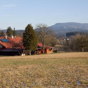 Vysoka Srbska Chalupa Zlicko旅馆 Exterior photo