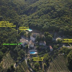 BovecchioVicino Circuito Mugello, Panoramico Con Piscina公寓 Exterior photo