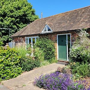 Little Ripple Cottage By Bloom Stays 坎特伯雷 Exterior photo