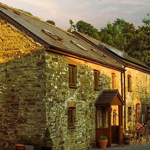 Mill Cottage Llanybri Exterior photo