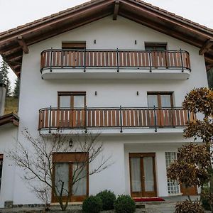 BorşaVila Kony别墅 Exterior photo
