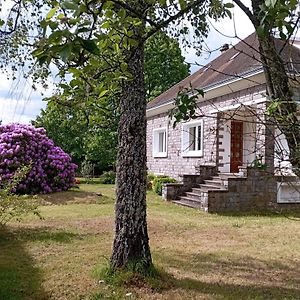 Le Gite D'Auvergne Lanobre Exterior photo