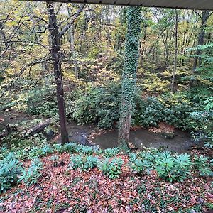 Bern'S Summit Solitude: Stream-Front Serenity Confluence Exterior photo