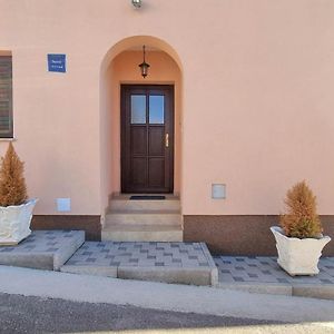 Novigrad IstriaLucijana公寓 Exterior photo