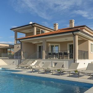 Villa Silvia For 10 People With Infinity Pool And Large Playground Babici Exterior photo