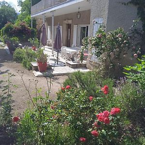 Maison Calme Avec Piscine Entouree De Son Parc Quintenas Exterior photo