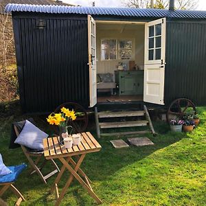 Shepherd Hut Glamping In Northumberland 泰恩河畔纽卡斯尔 Exterior photo